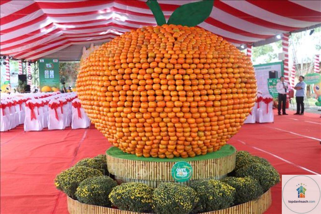 Làng nghề quýt hồng Lai Vung - Hình 2