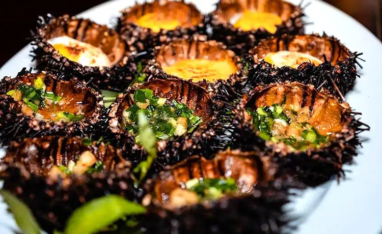 Nhum biển Phú Quốc - Hình 2