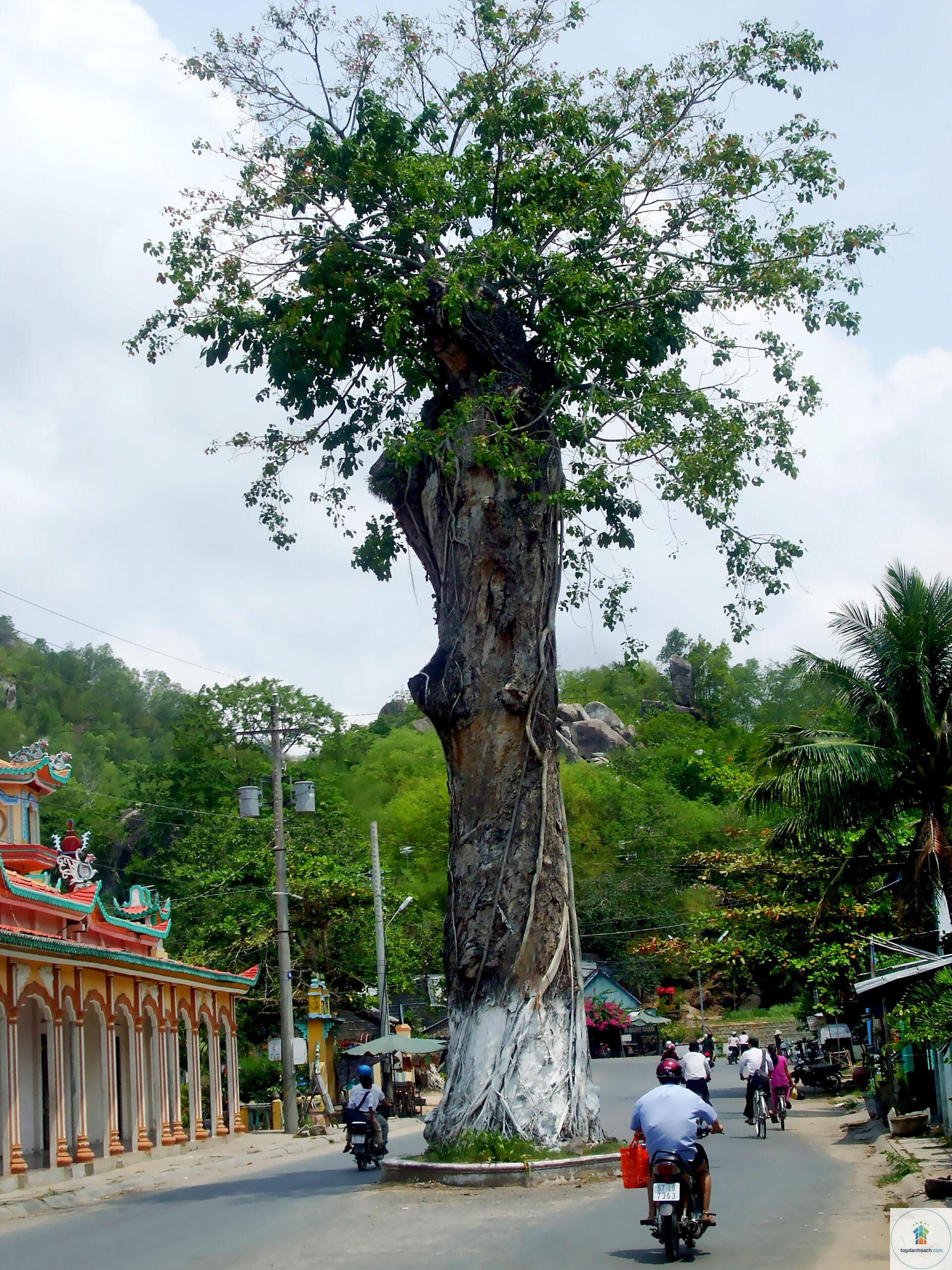 Núi Tượng - Hình 2