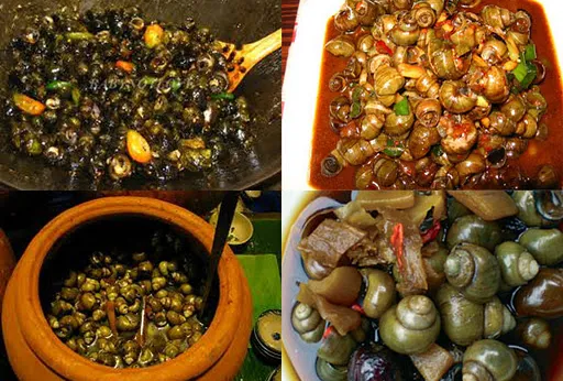 Ốc gạo Phú Đa - Hình 5