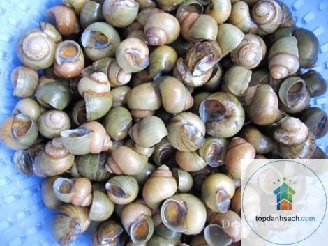Ốc gạo Phú Đa