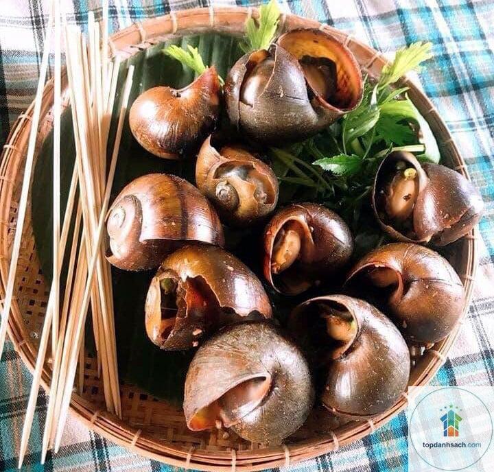 Ốc treo giàn Đồng Tháp - Hình 3