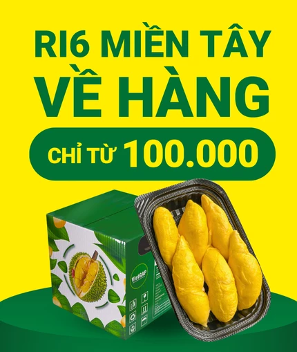 Quán đặc sản Cái Mơn - Hình 2