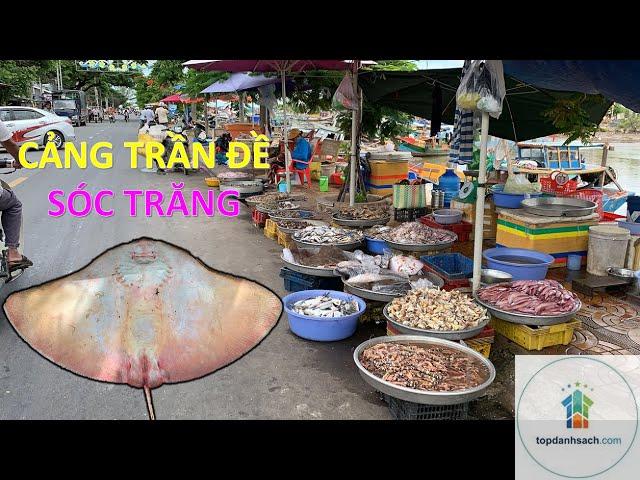 Quán hải sản Trần Đề - Hình 1
