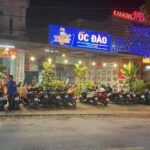 Quán ốc Gò Công ngon nức tiếng – Tổng hợp địa chỉ, món đặc sản và bí quyết thưởng thức chuẩn vị Quán ốc Gò Công