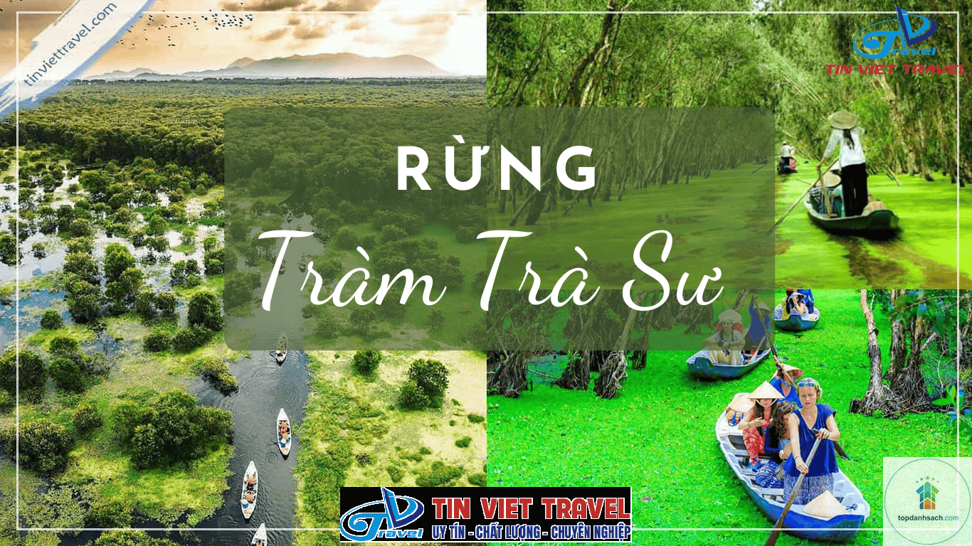 Rừng tràm Trà Sư - Hình 2