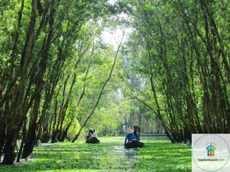Rừng tràm Trà Sư - Hình 3