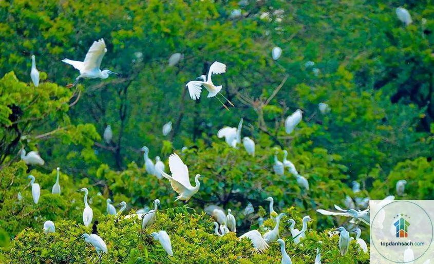 Sân chim Vàm Hồ - Hình 5