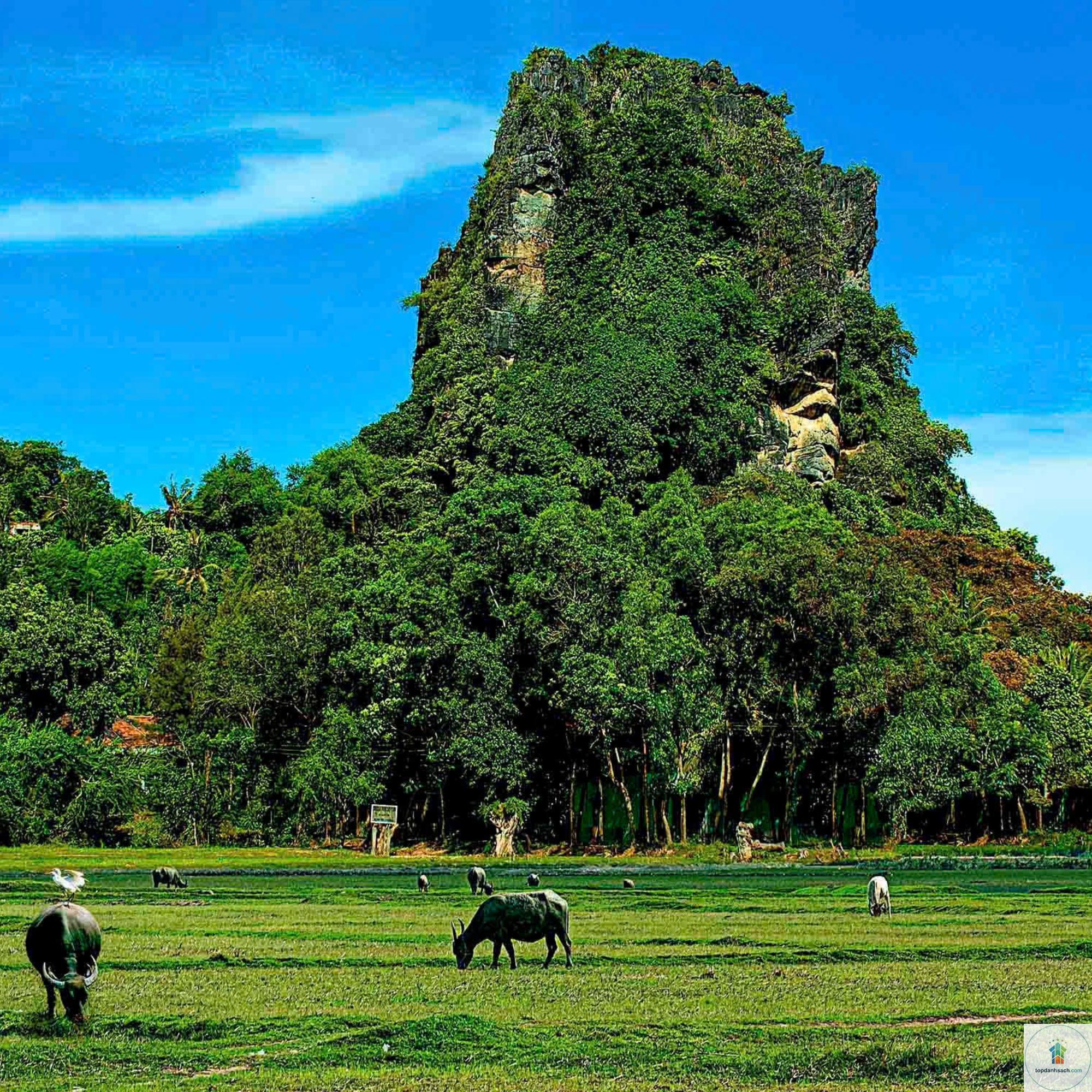 Thạch Động - Hình 1