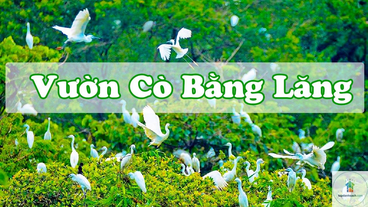 Vườn cò Bằng Lăng - Hình 3
