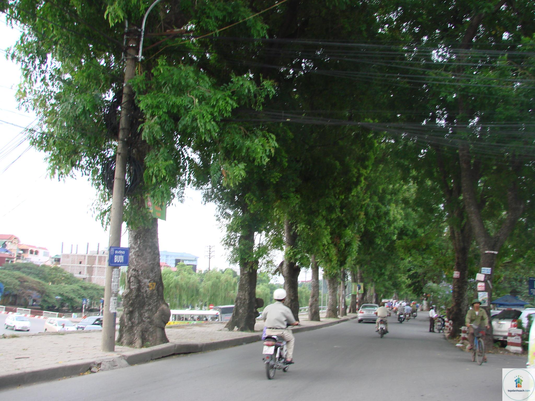 đường bưởi - hà nội - Hình 1