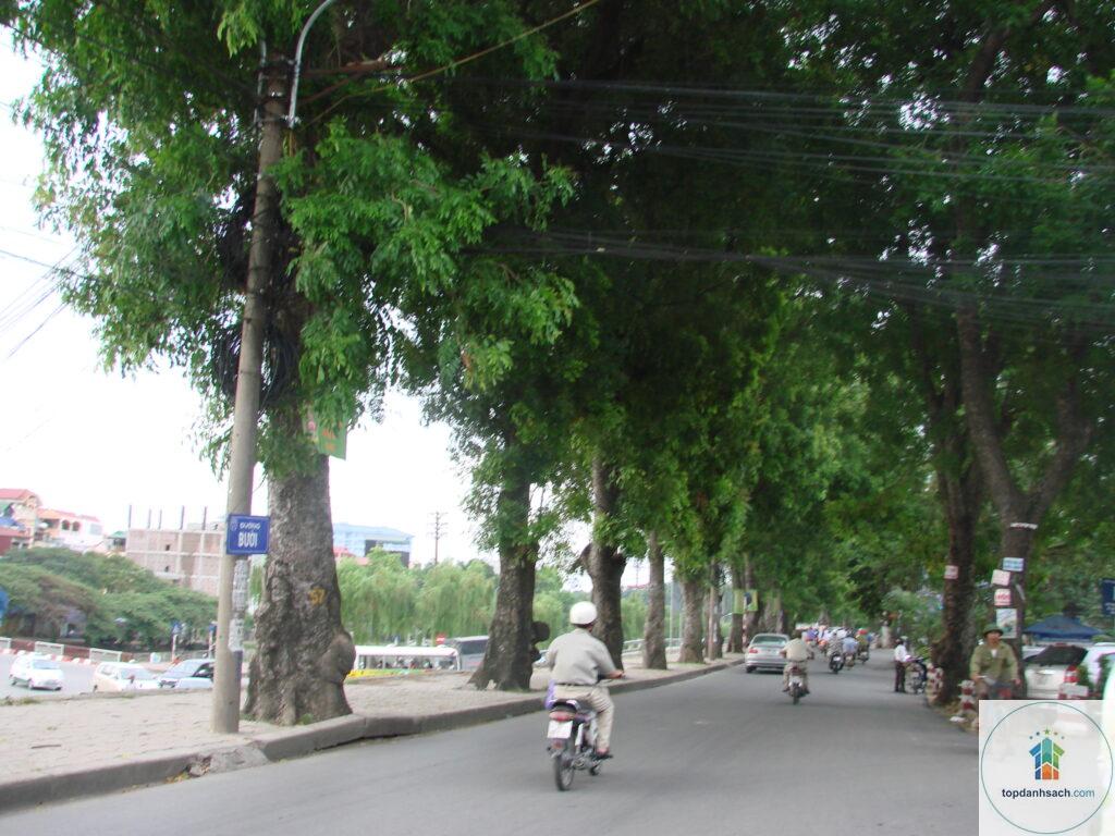 đường bưởi hà nội