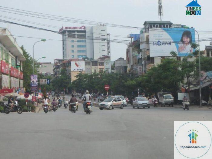 đường bưởi hà nội - Hình 5
