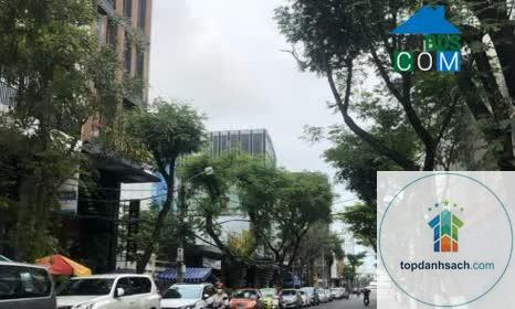 đường thái phiên đà nẵng - Hình 4