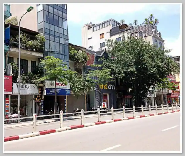 đường tôn đức thắng - hà nội - Hình 2