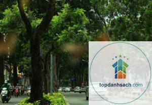đường tôn đức thắng hà nội