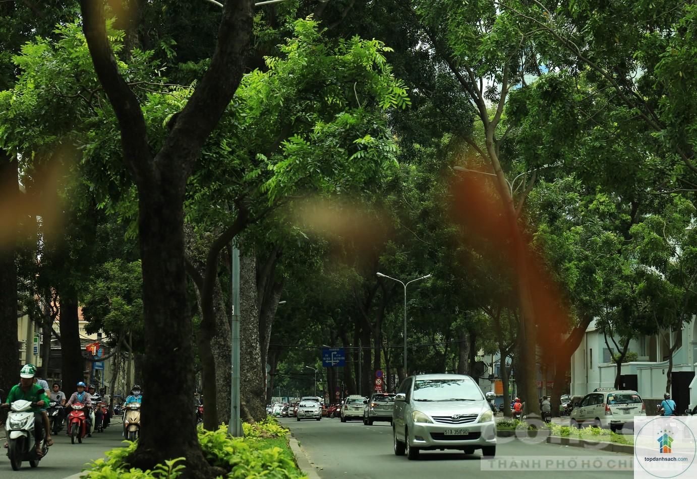 đường tôn đức thắng hà nội - Hình 1