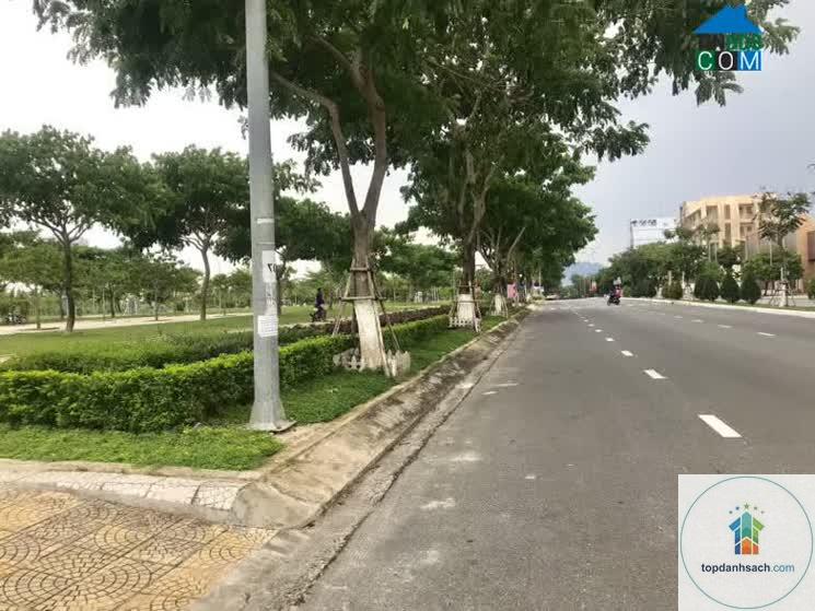 đường xuân thủy đà nẵng - Hình 5