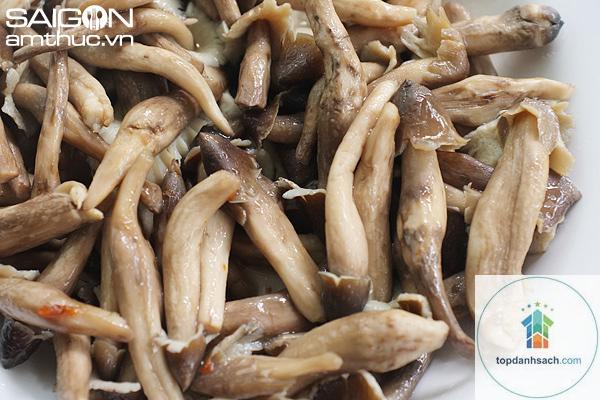 nấm mối bến tre - Hình 4