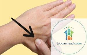 cách chống buồn nôn khi đi xe đường dài
