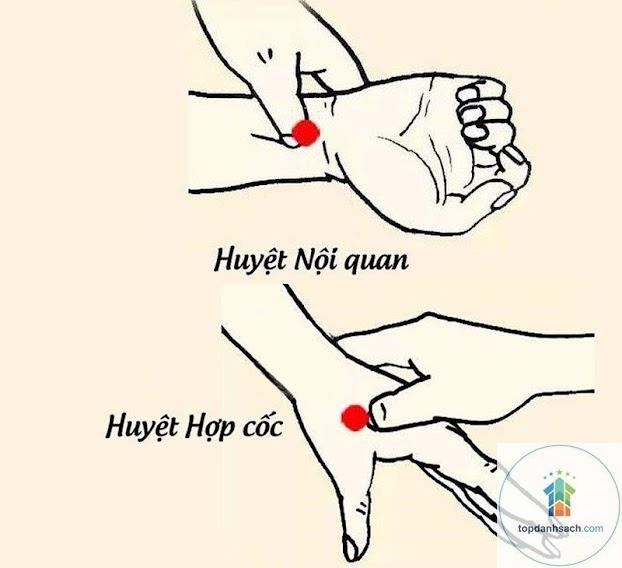 cách giảm say xe hiệu quả - Hình 2