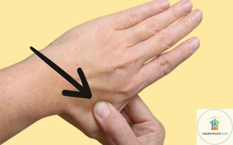 cách giảm say xe hiệu quả - Hình 3