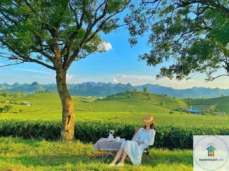 kinh nghiệm du lịch mộc châu - Hình 2
