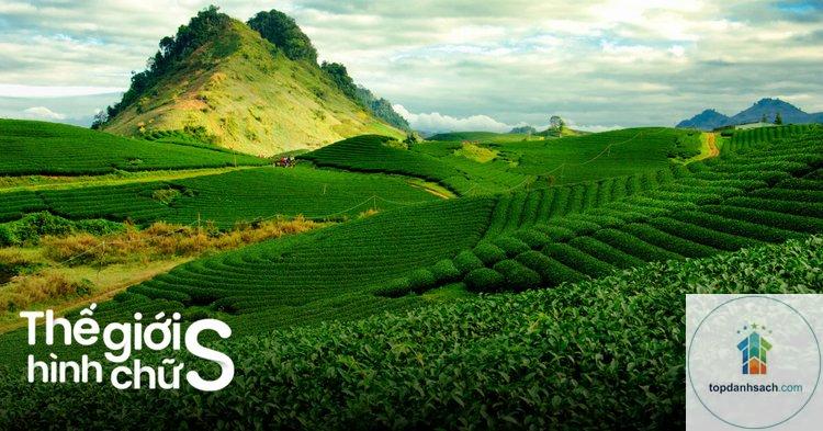 kinh nghiệm du lịch mộc châu